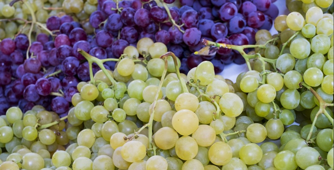 Grapes Vineyard Fruit Wine Vineyards Countryside Drink Winery 662056