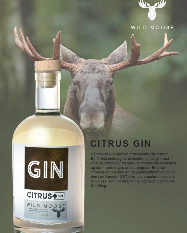 802 Citrus Gin Wild Moose